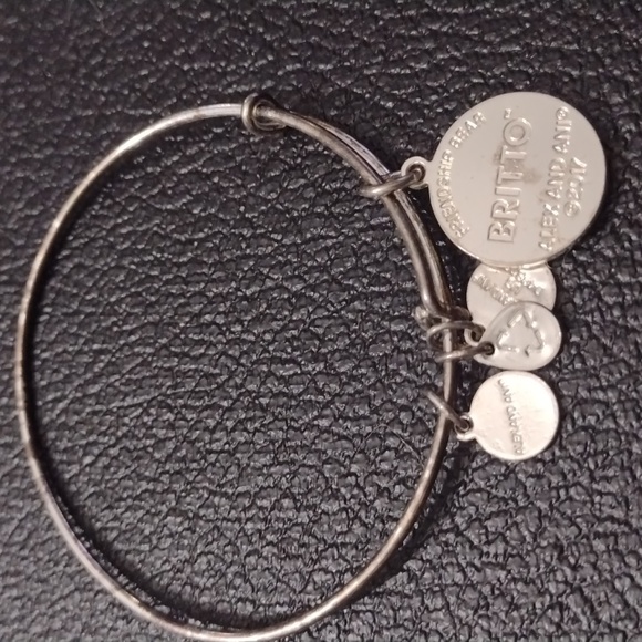 Alex and Ani Britto Bear Art Silver Charm Bracelet adjustable Bangle boho glam - Picture 3 of 3